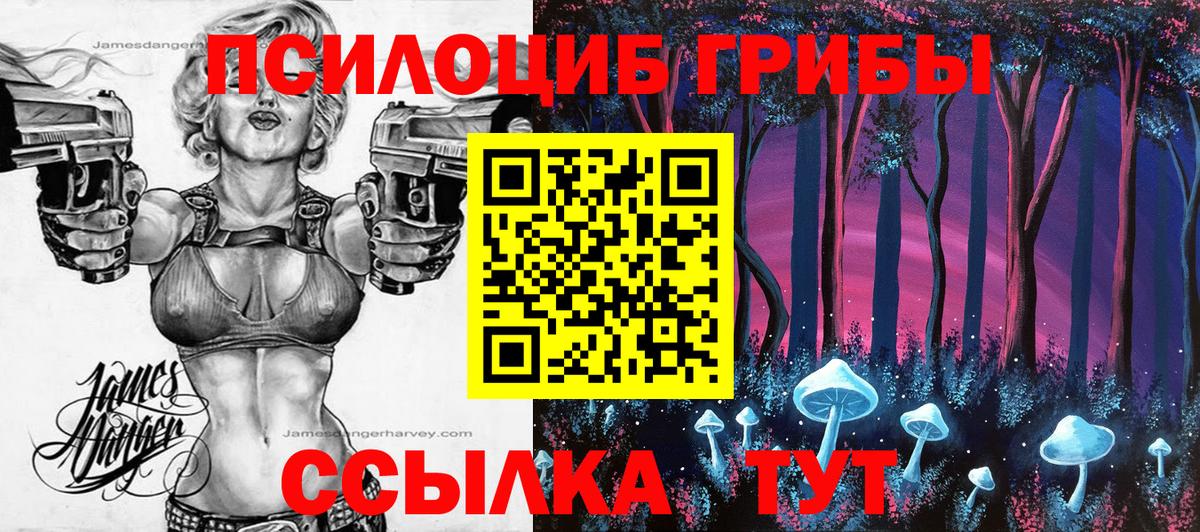 Пыть-Ях  Псилоцибиновые грибы Magic Shrooms  Вход с VPN  наркота  Галлюциногенные грибы Psilocybine cubensis 